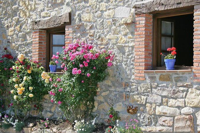 La Xica Ll Konuk evi Beceña Dış mekan fotoğraf